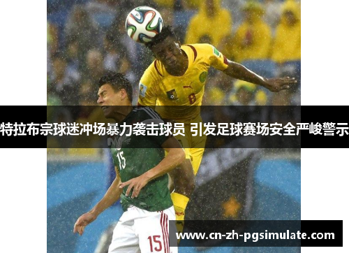 特拉布宗球迷冲场暴力袭击球员 引发足球赛场安全严峻警示